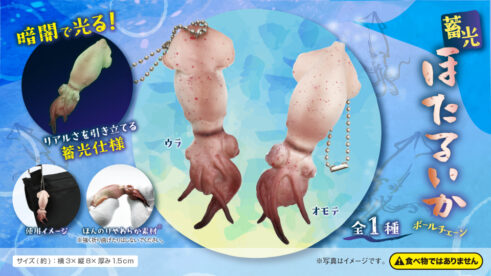 蓄光ほたるいかボールチェーン