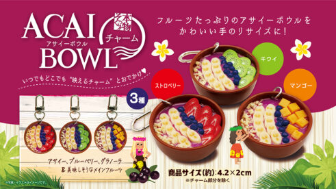 本物そっくり！アサイーボウルチャーム3種