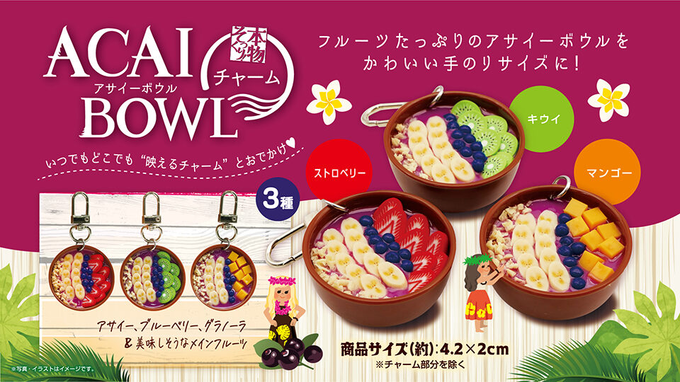 本物そっくり！アサイーボウルチャーム3種